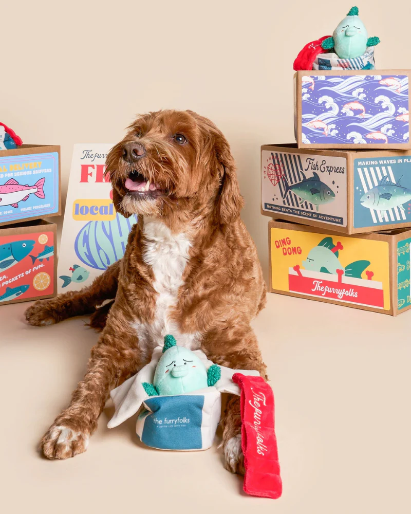 Fish Express Nosework Dog Toy - Image 6