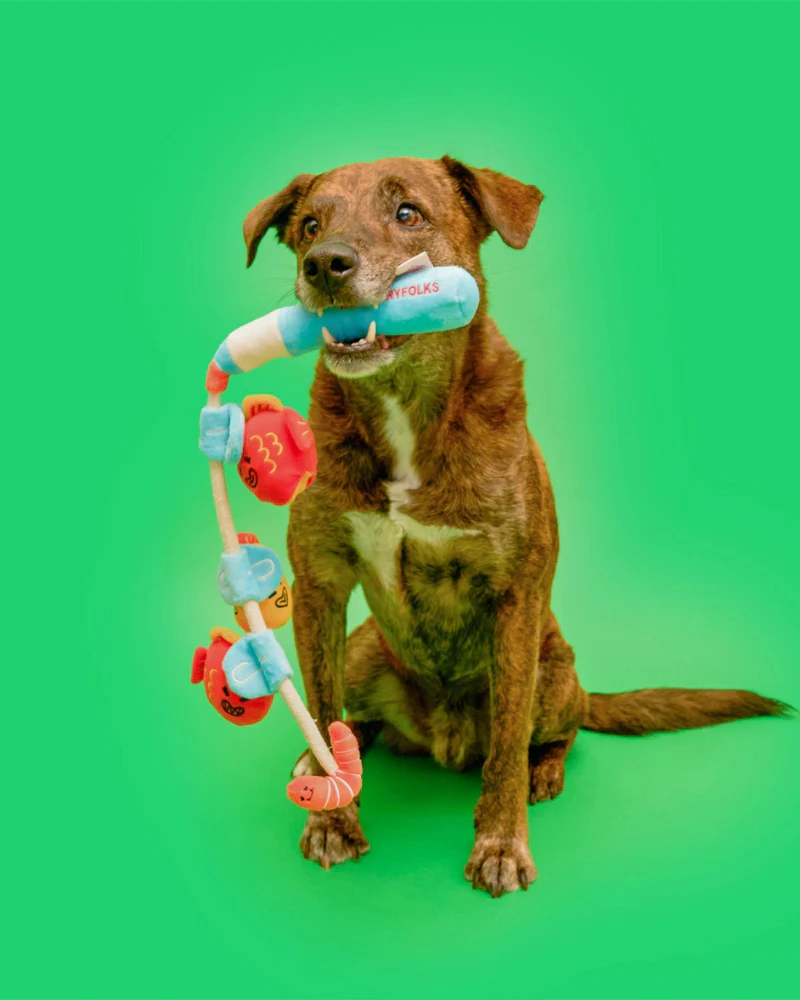 Fishing Nosework & Tug Dog Toy - Image 2