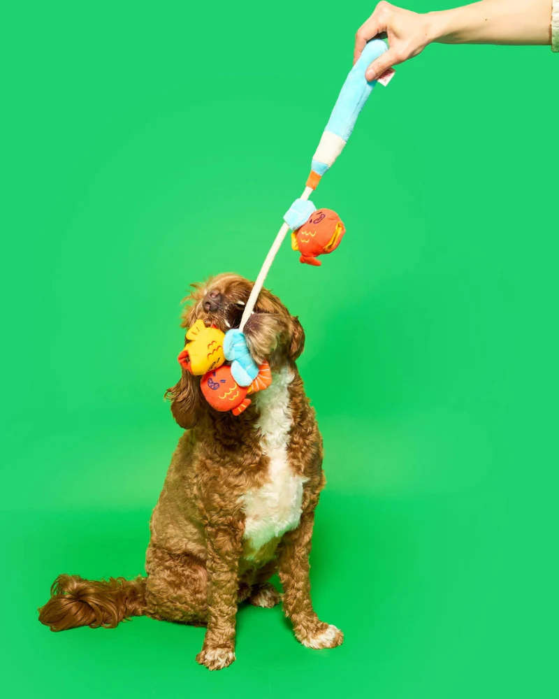 Fishing Nosework & Tug Dog Toy - Image 7