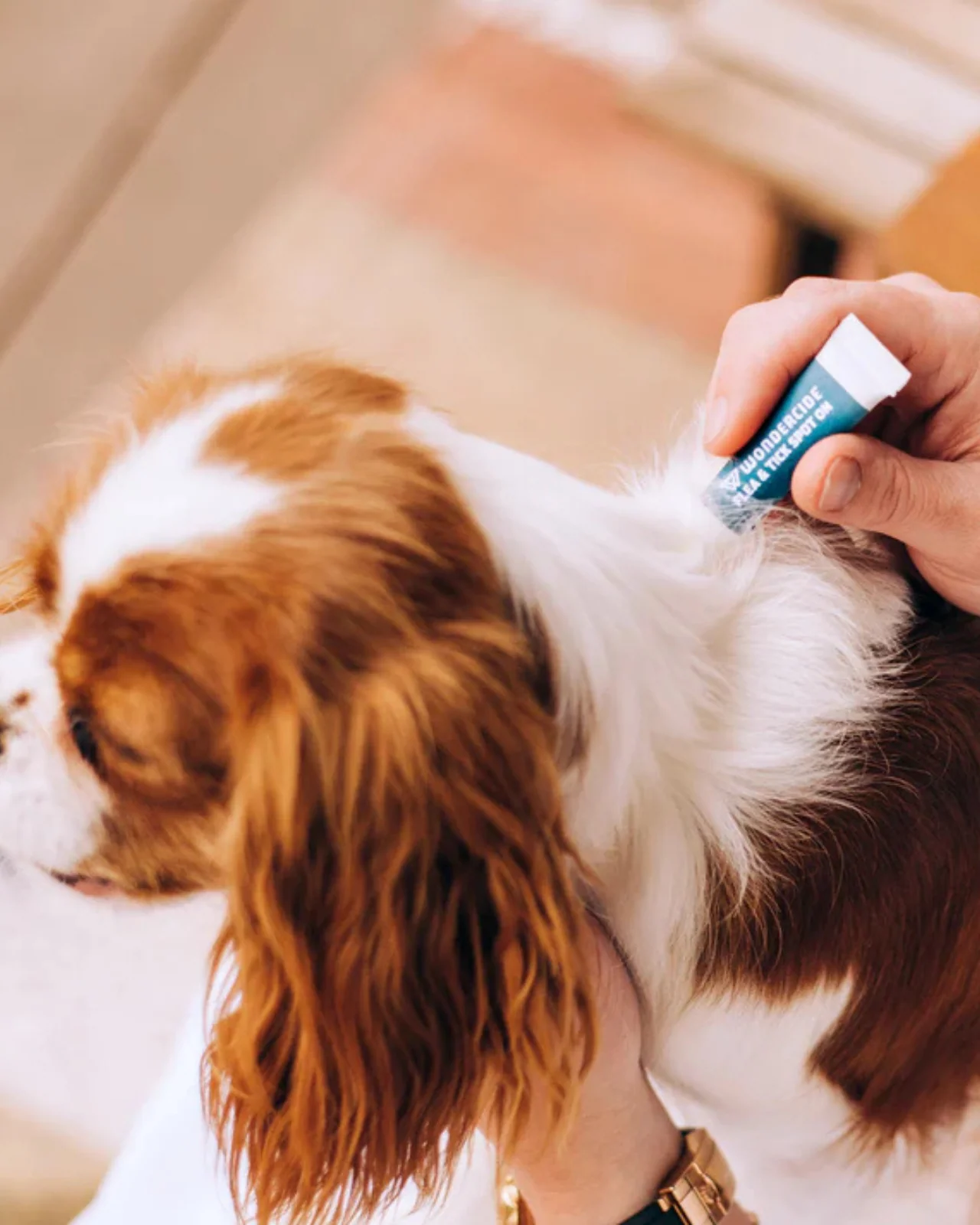 Flea & Tick Spot On for Dogs + Cats with Natural Essential Oils - Image 2