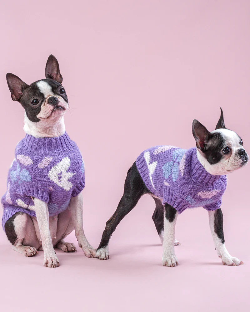 Floral Dog Sweater (FINAL SALE) - Image 4