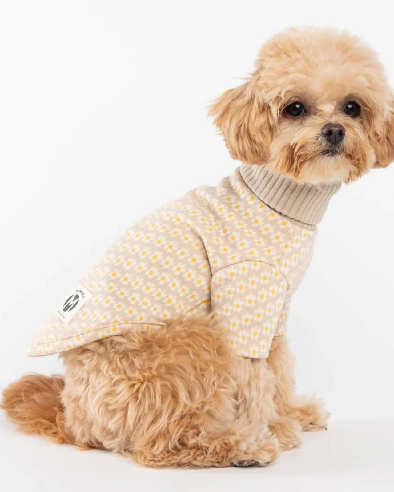Flower Pattern Dog Knit Sweater in Soft Beige (FINAL SALE) - Image 5