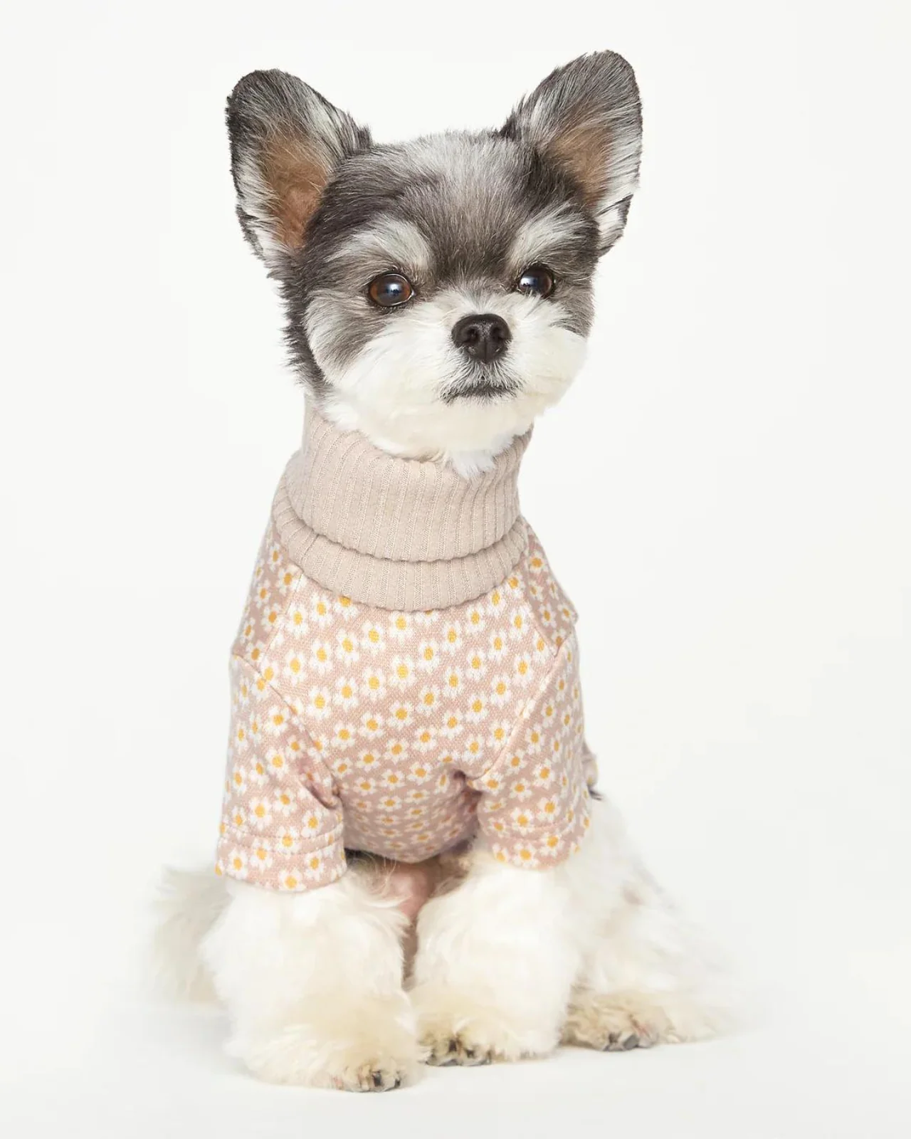 Flower Pattern Dog Knit Sweater in Soft Beige (FINAL SALE) - Image 7