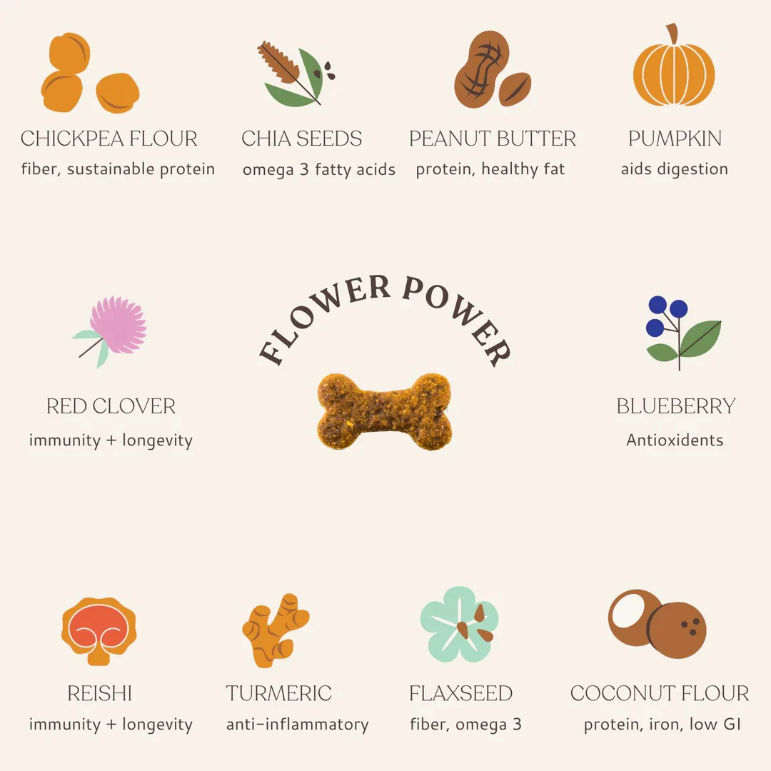Flower Power Superfood Dog Treats - Image 2