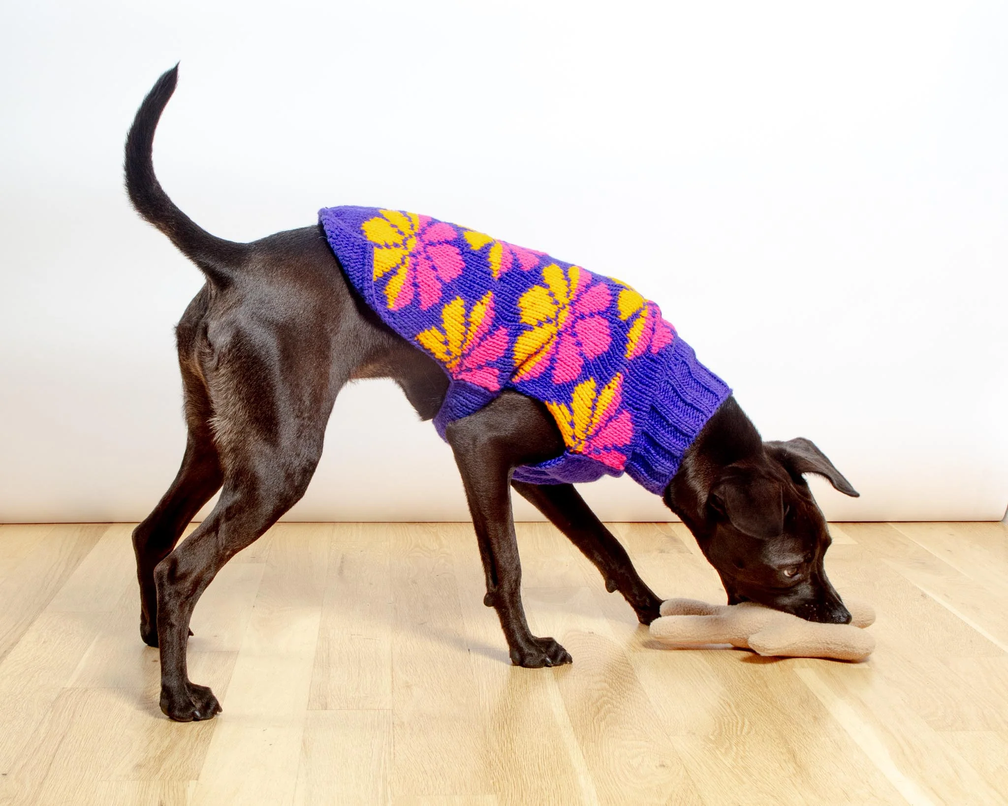 Flower Power Wool Dog Sweater (FINAL SALE) - Image 4