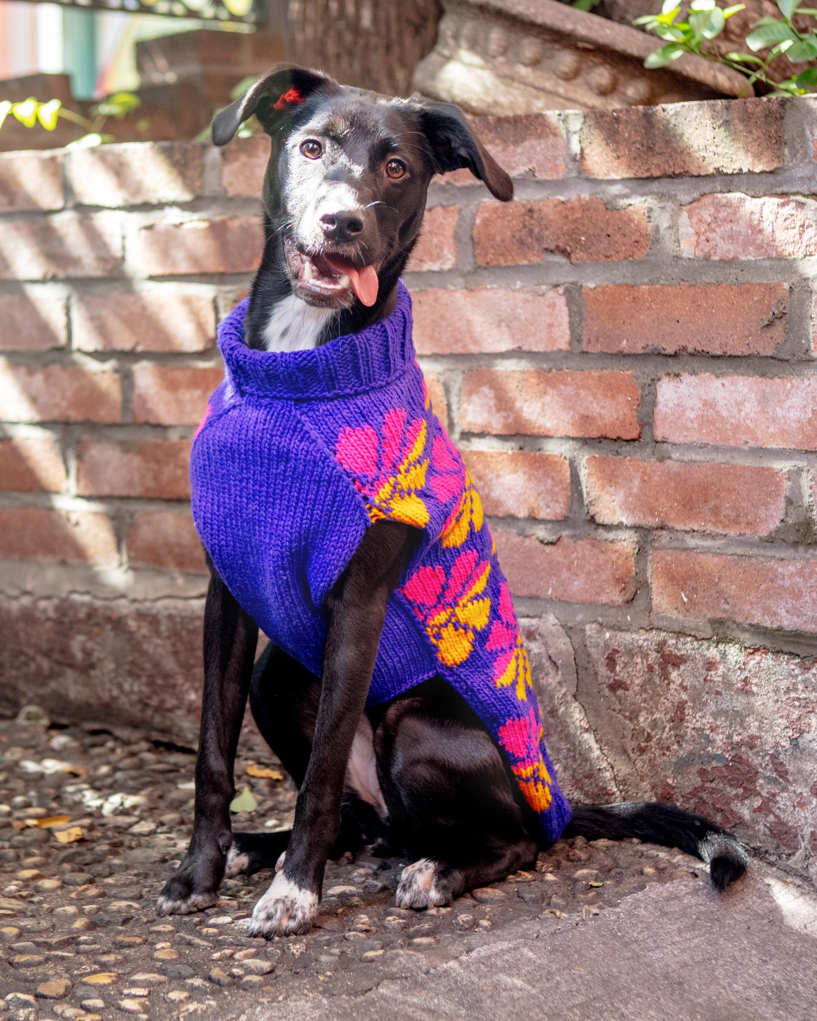 Flower Power Wool Dog Sweater (FINAL SALE) - Image 5