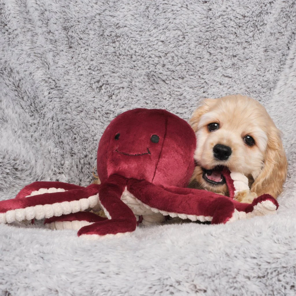 Olympia Octopus Plush Dog Toy - Image 4