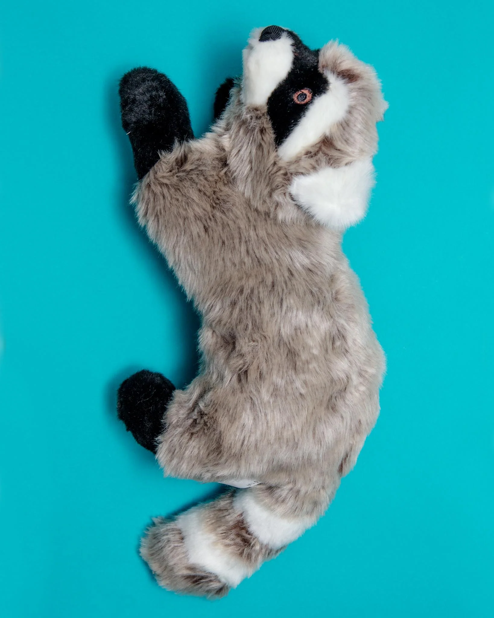 Rocket the Raccoon Plush Squeaky Dog Toy - Image 3