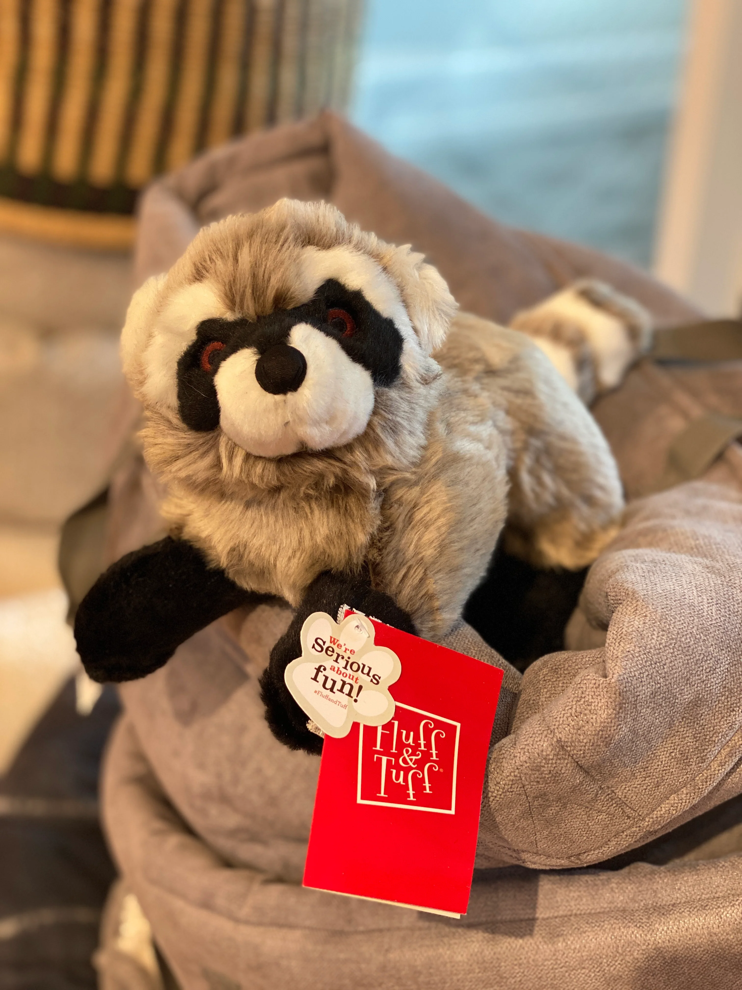 Rocket the Raccoon Plush Squeaky Dog Toy - Image 5