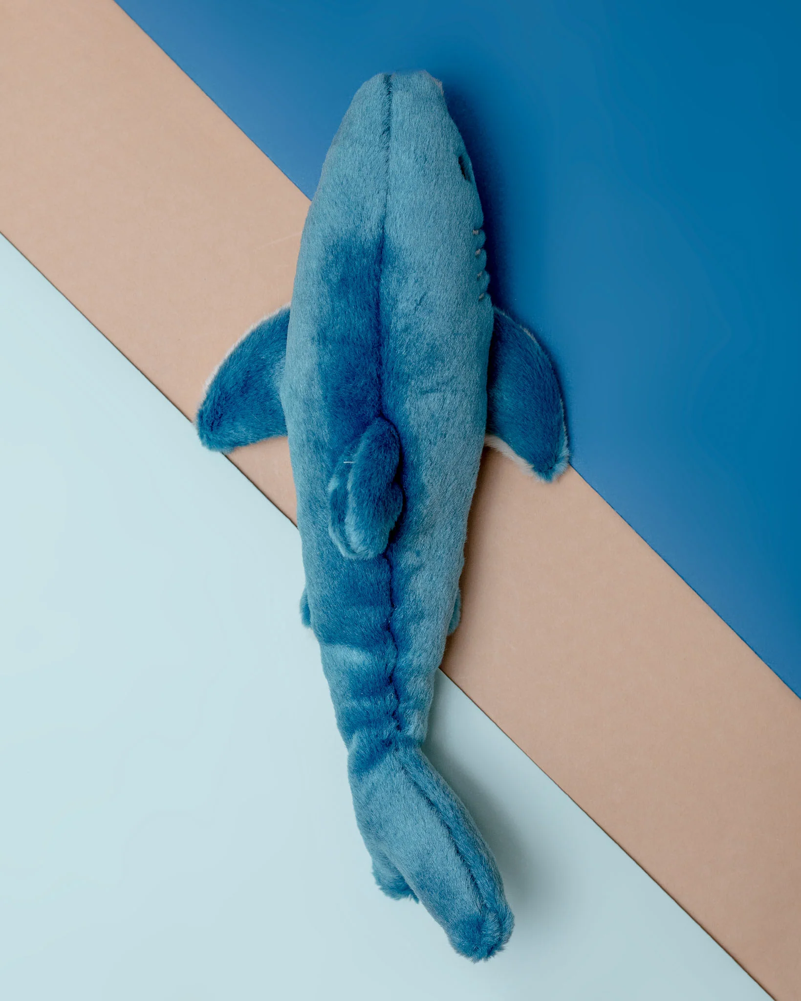 Tank the Shark Plush Squeaky Dog Toy - Image 3