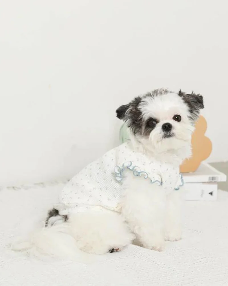Flutter Sleeve Floral Top for Dogs (Cooling Effect) (FINAL SALE) - Image 4