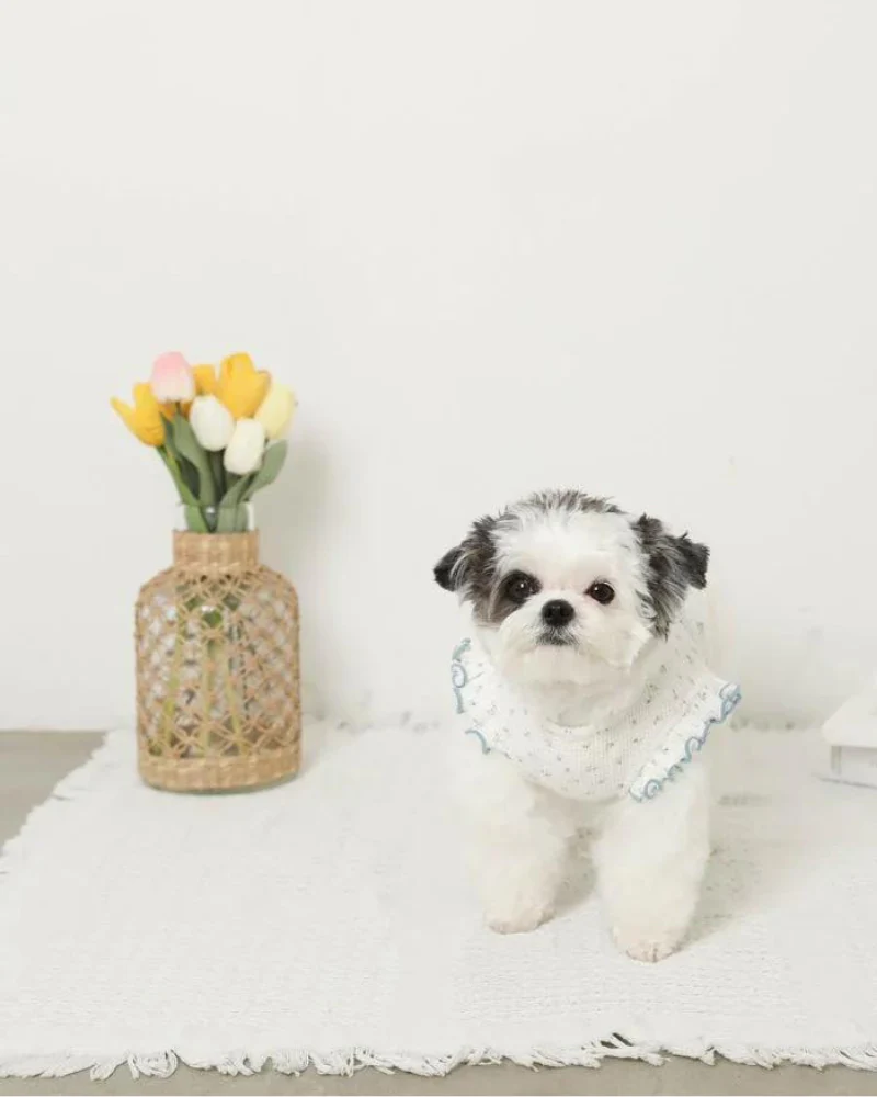 Flutter Sleeve Floral Top for Dogs (Cooling Effect) (FINAL SALE) - Image 5