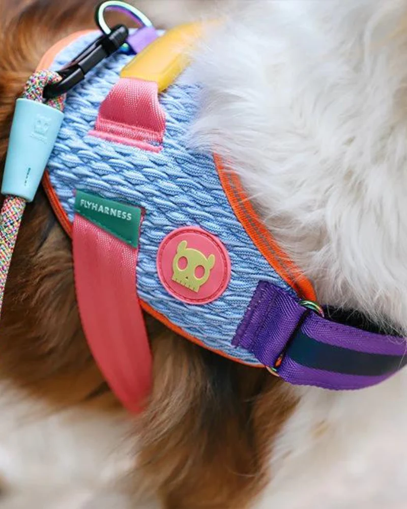 Flyharness in Galaxy for Dogs (FINAL SALE) - Image 4