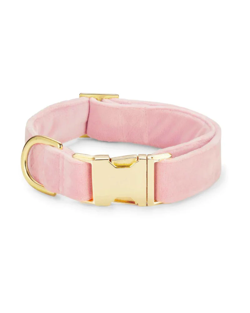 Blush Pink Velvet Dog Collar (Made in the USA) (FINAL SALE)
