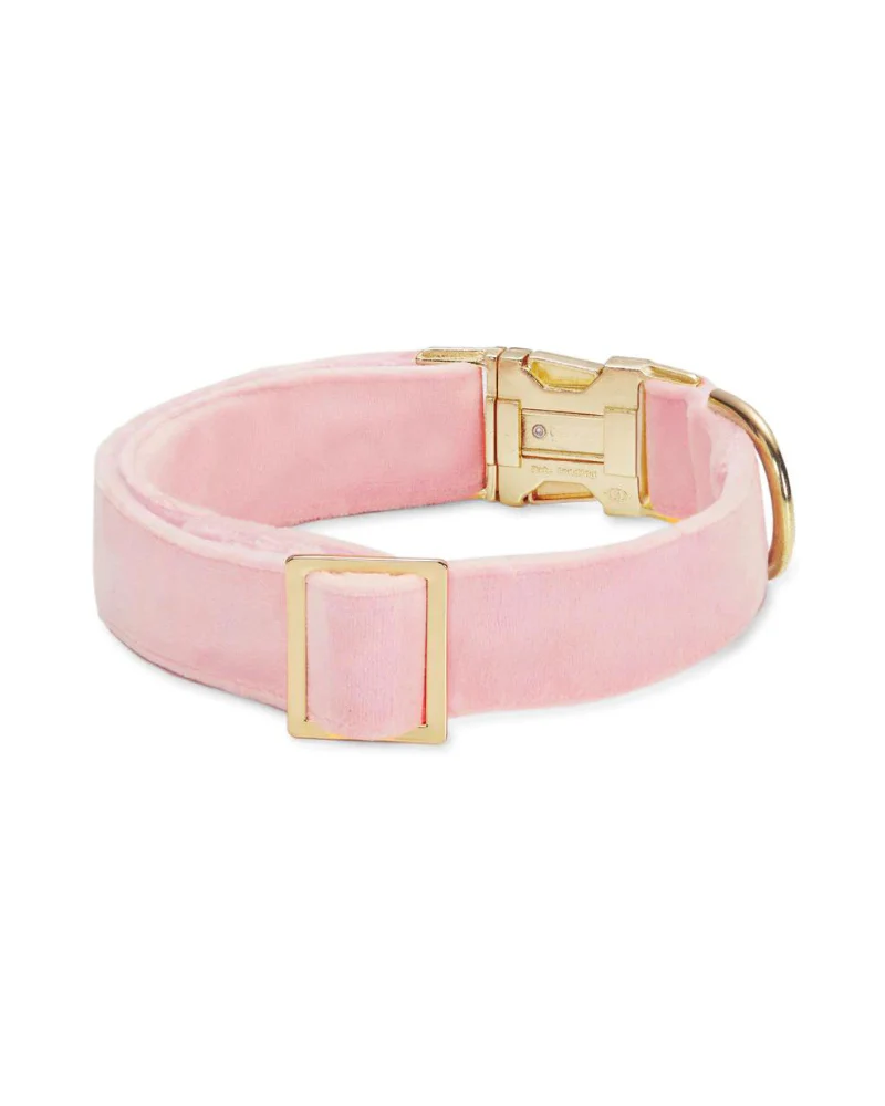 Blush Pink Velvet Dog Collar (Made in the USA) (FINAL SALE) - Image 2