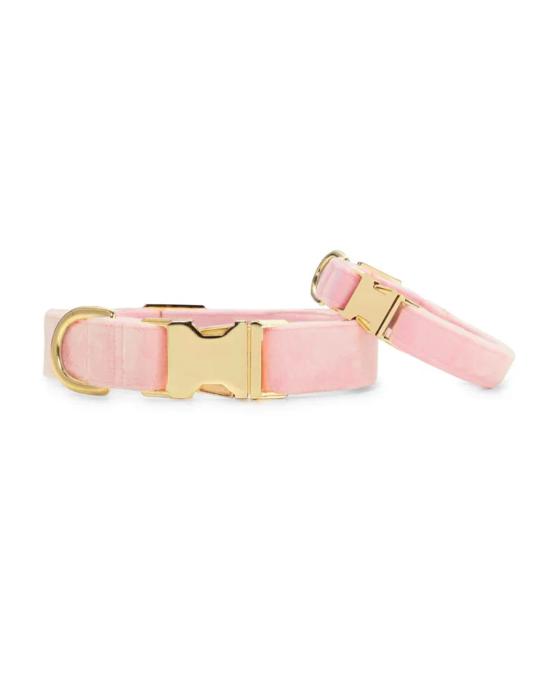 Blush Pink Velvet Dog Collar (Made in the USA) (FINAL SALE) - Image 3