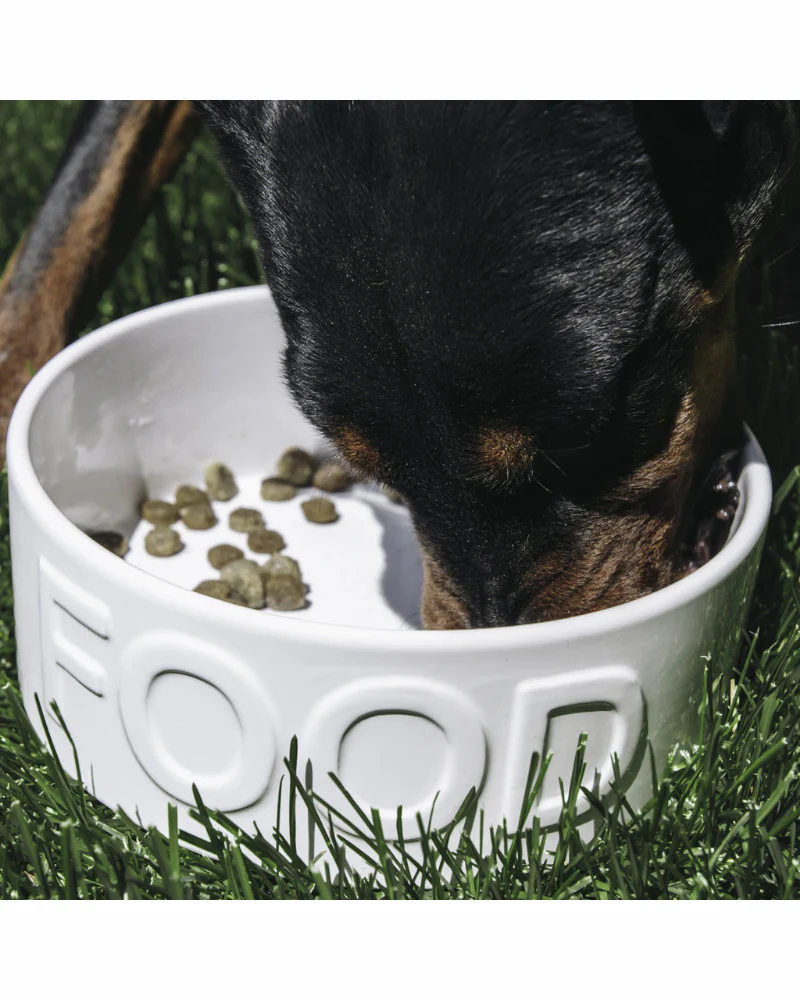 Classic Food Ceramic Pet Bowl in White (FINAL SALE) - Image 5