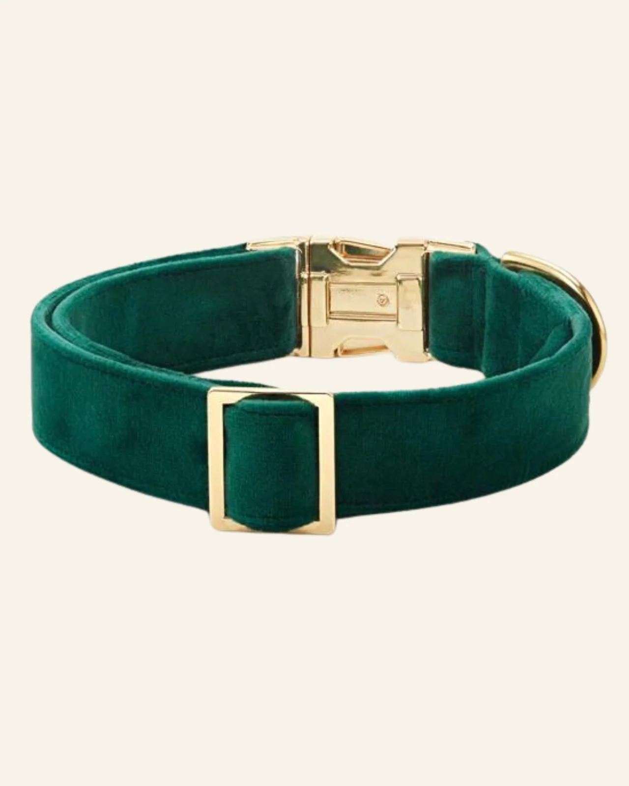 Forest Green Velvet Dog Collar (FINAL SALE) - Image 2