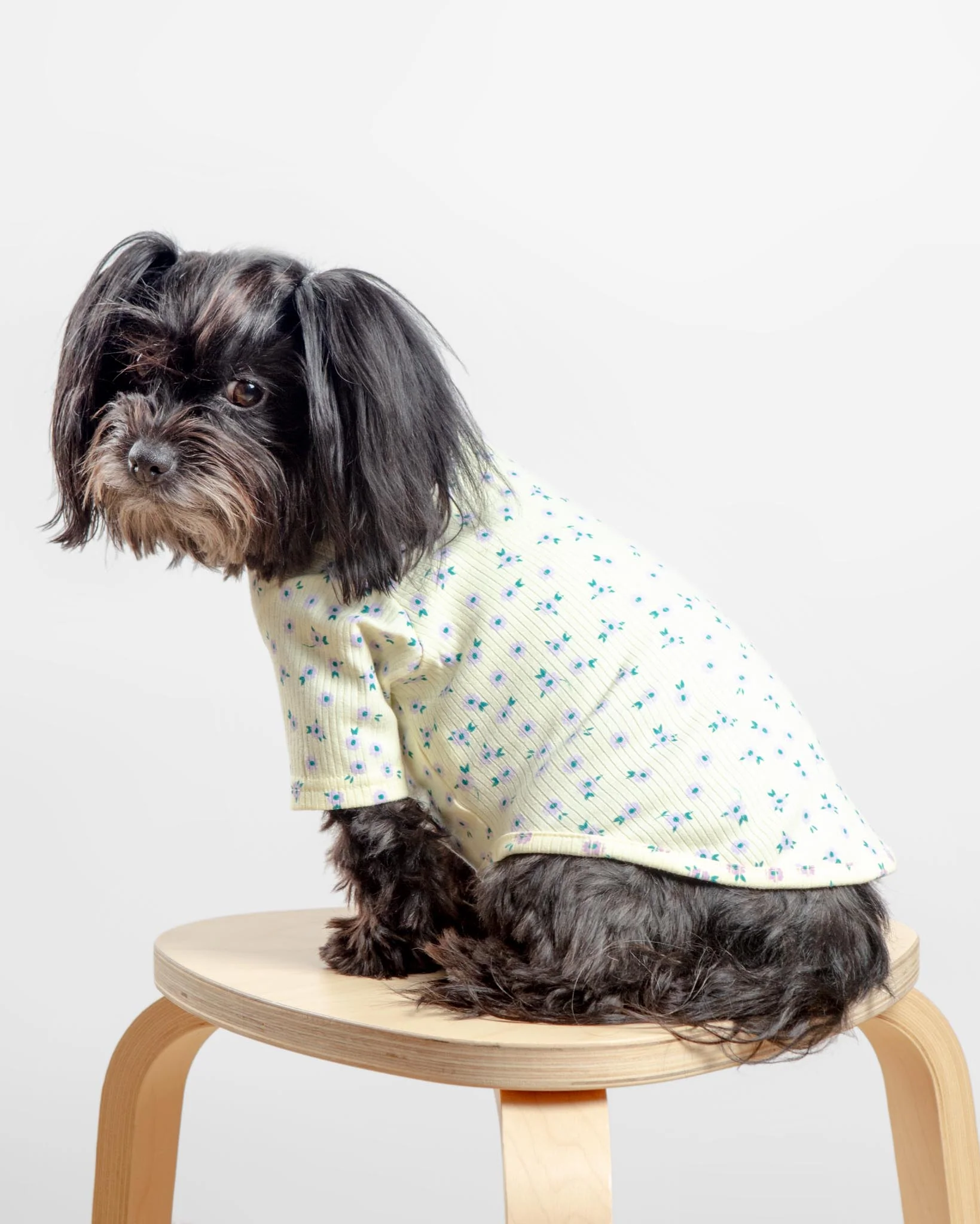 Forget-Me-Not Cozy Dog Shirt in Yellow (FINAL SALE)