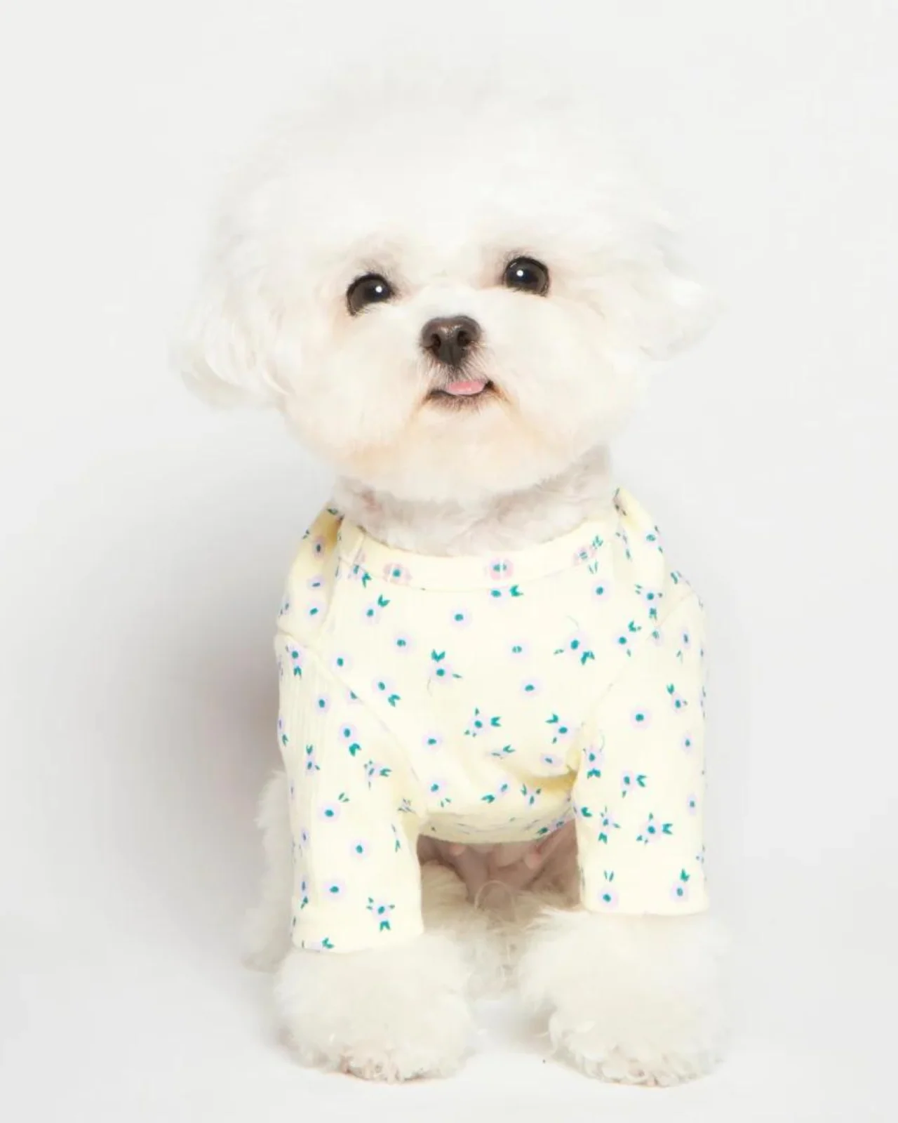 Forget-Me-Not Cozy Dog Shirt in Yellow (FINAL SALE) - Image 6