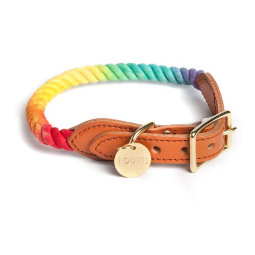 Rope Collar in Prismatic (FINAL SALE) - Image 5