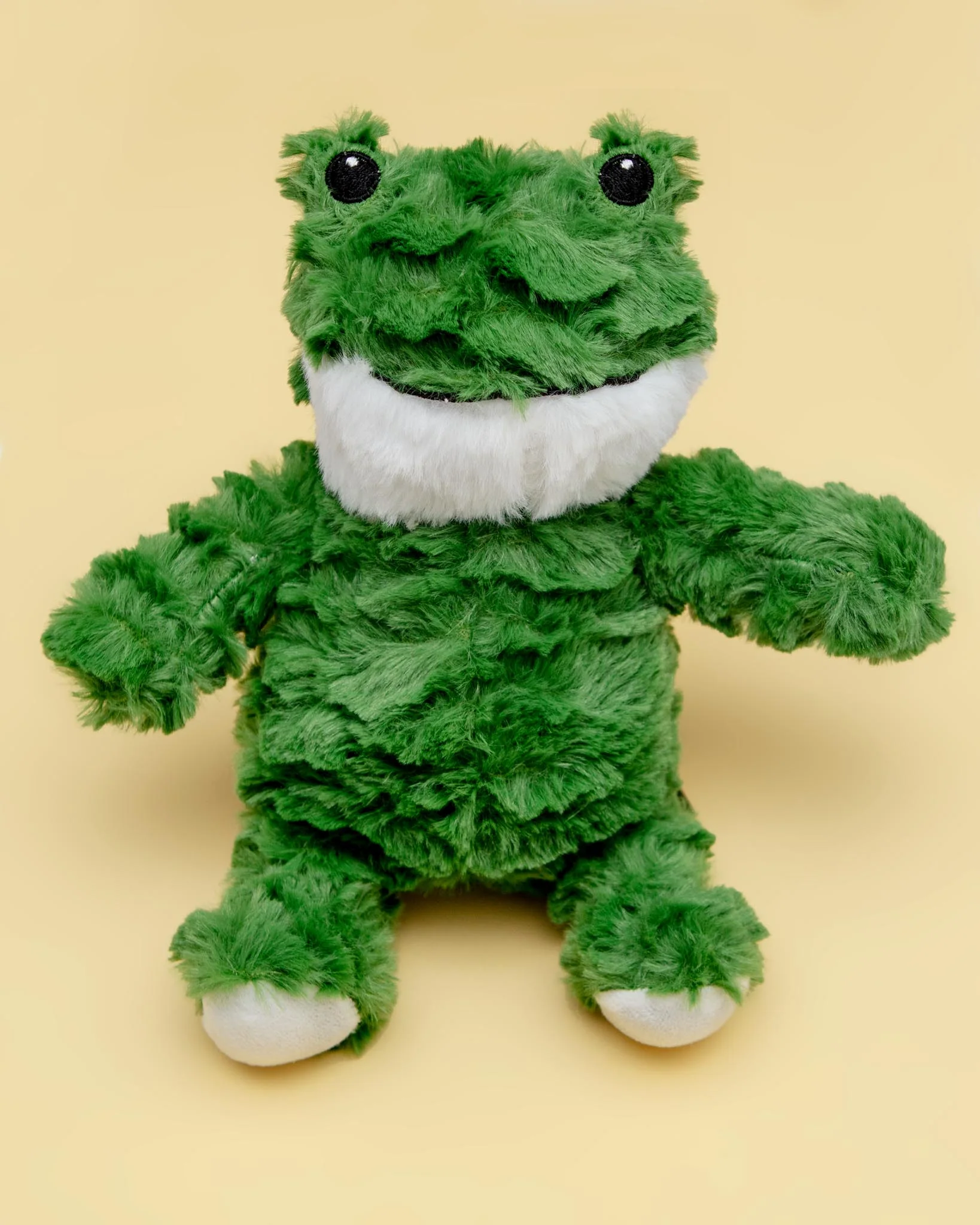 Fred the Frog Squeaky Plush Dog Toy