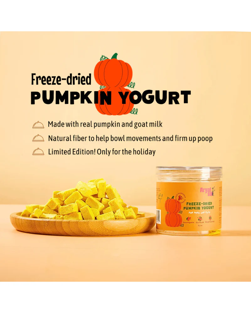 Freeze-Dried Pumpkin Yogurt Treats For Dogs & Cats - Image 3