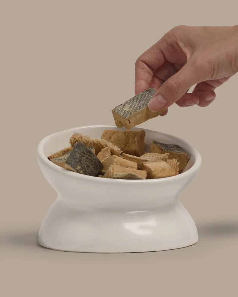 Freeze-Dried Salmon On-the-Go Dog Treat Pack - Image 5