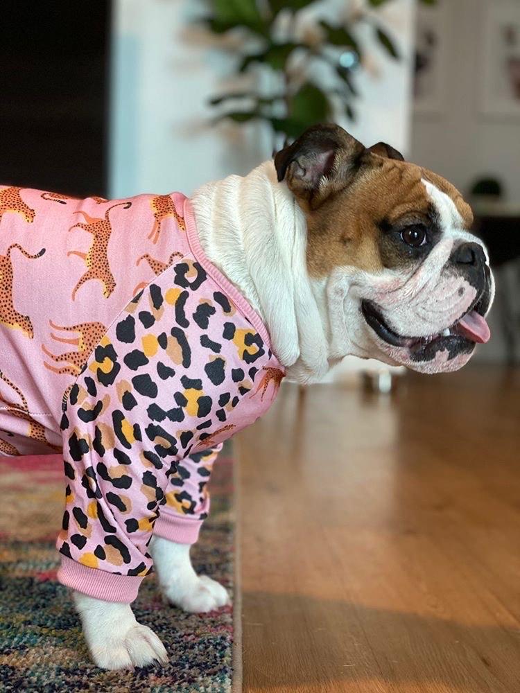 Leopard & Cheetah Print French Bulldog Pajamas (FINAL SALE) - Image 5
