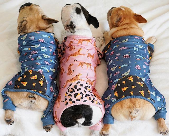 Leopard & Cheetah Print French Bulldog Pajamas (FINAL SALE) - Image 7