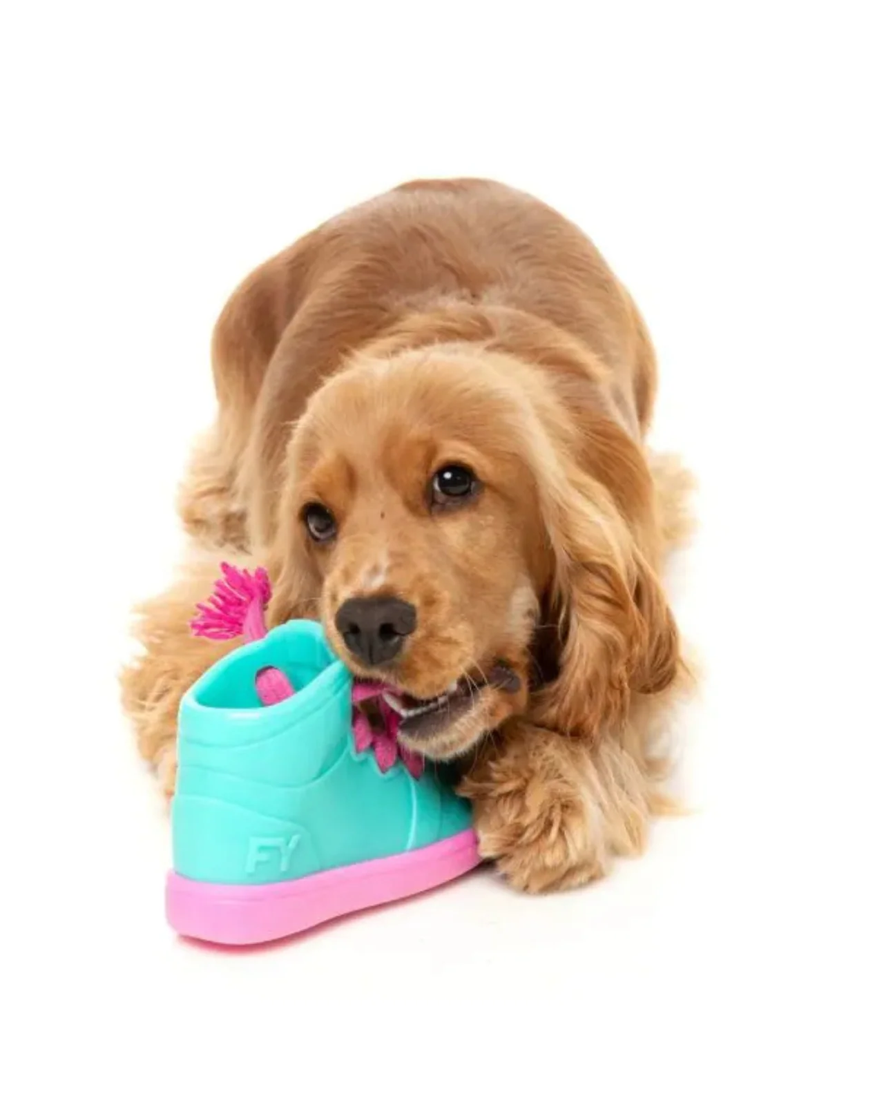 Fresh Kicks 'N' Licks Interactive Chew Toy - Image 6
