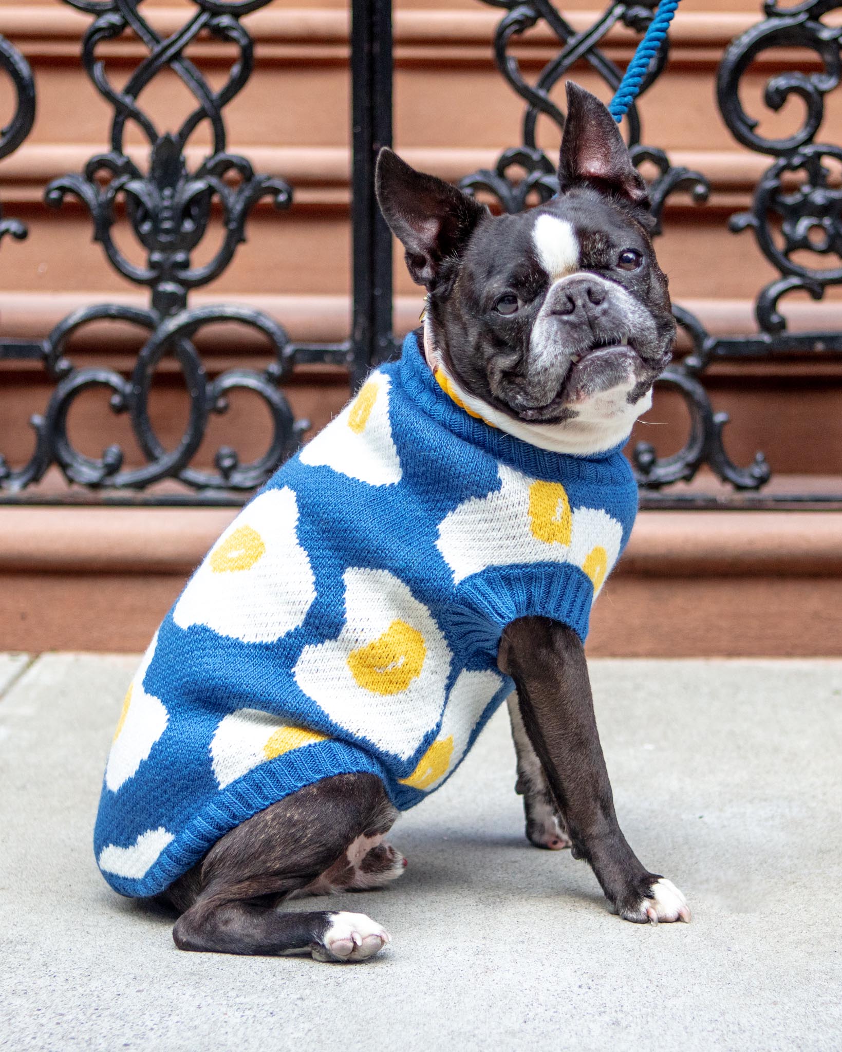 Fried Eggs Dog Sweater