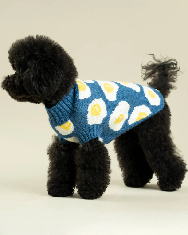 Fried Eggs Dog Sweater - Image 5