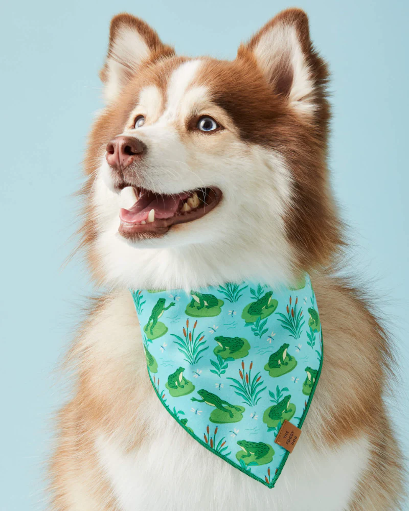 Frog Pond Spring Dog Bandana (Made in the USA) (FINAL SALE)