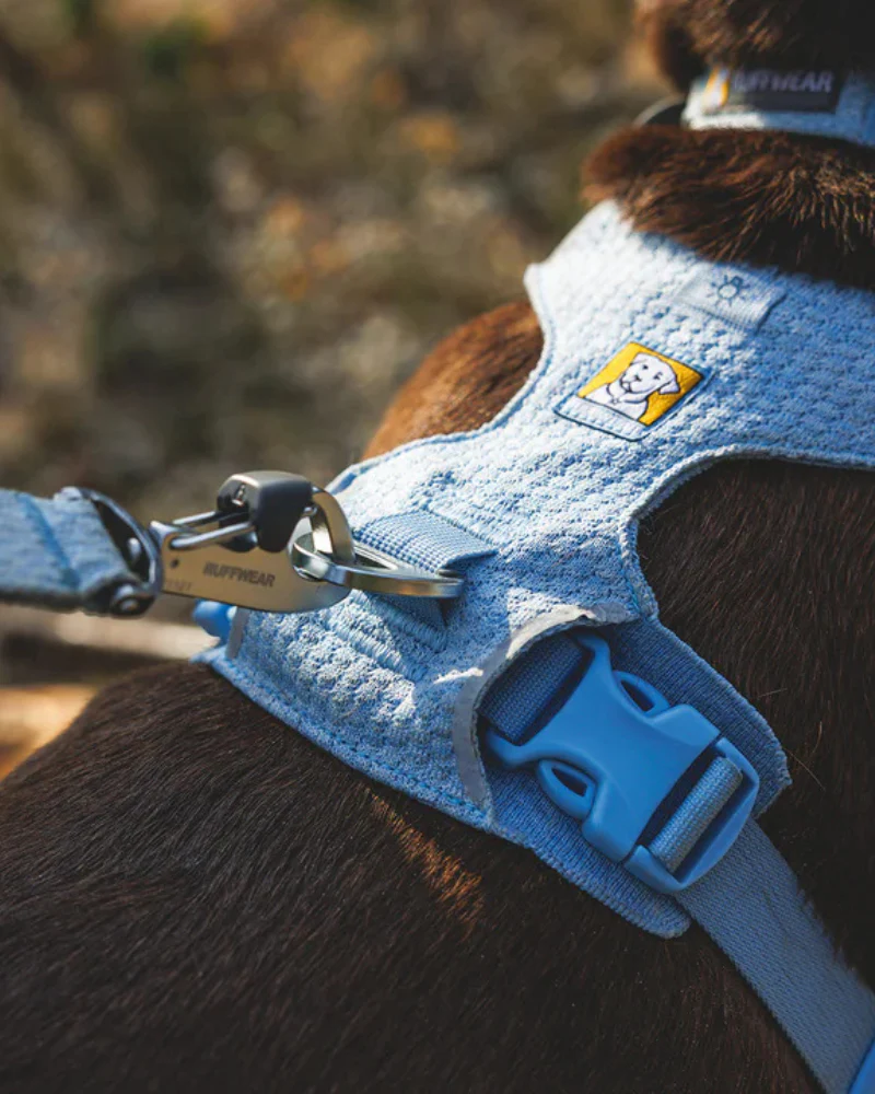 Front Range Flex Harness in Polar Blue - Image 3