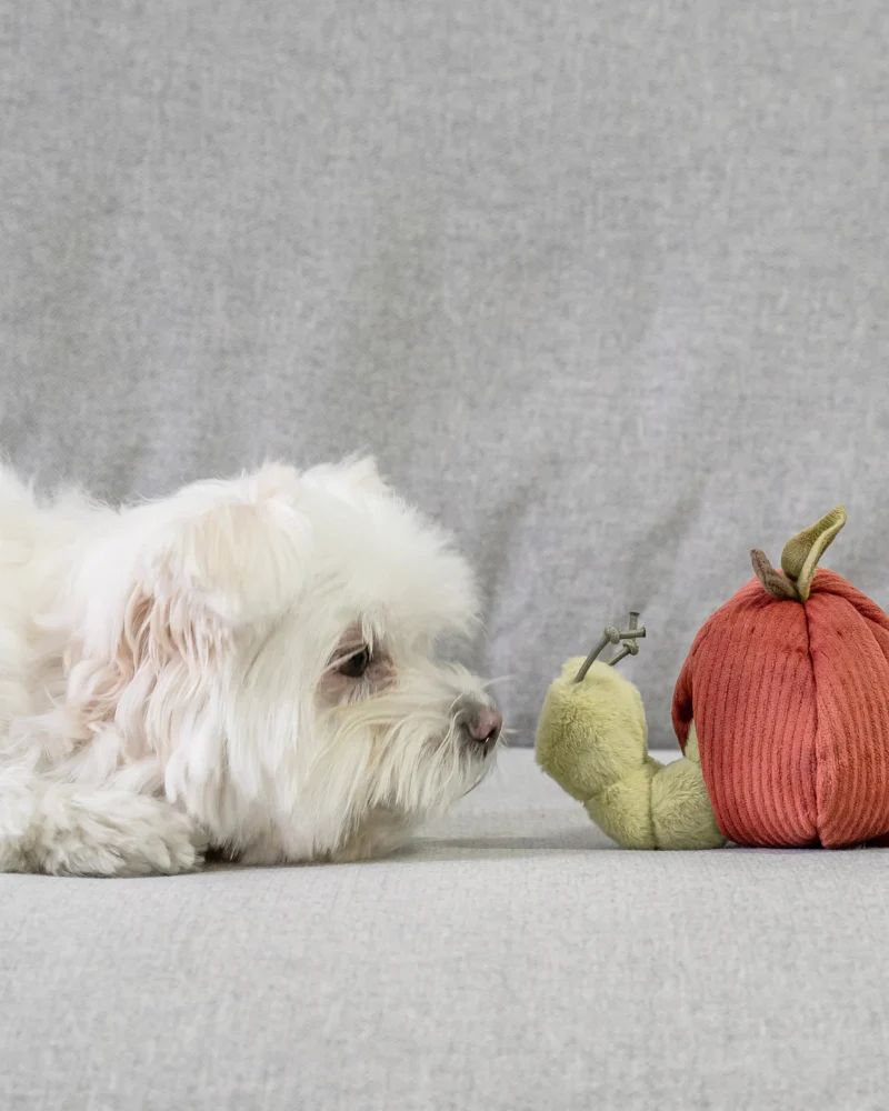 Fruit Enrichment Snuffle Dog Toy Set - Image 6