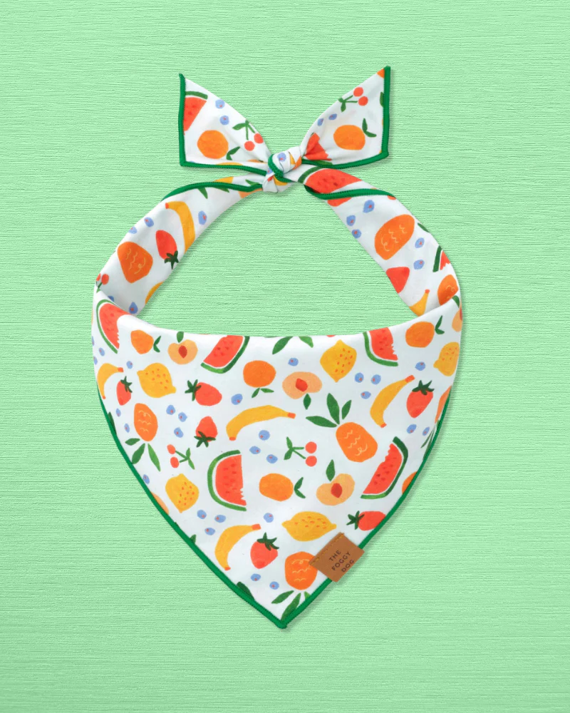 Fruit Salad Dog Bandana (Made in the USA) (FINAL SALE)