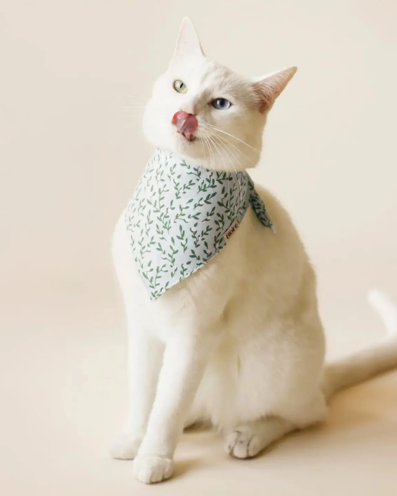 Fur-Get-Me-Not Pet Bandana - Image 2