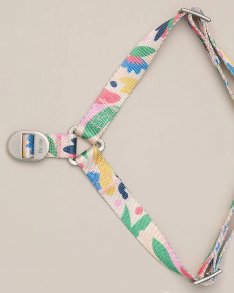Gaston Step-In Dog Harness (CLEARANCE) - Image 5