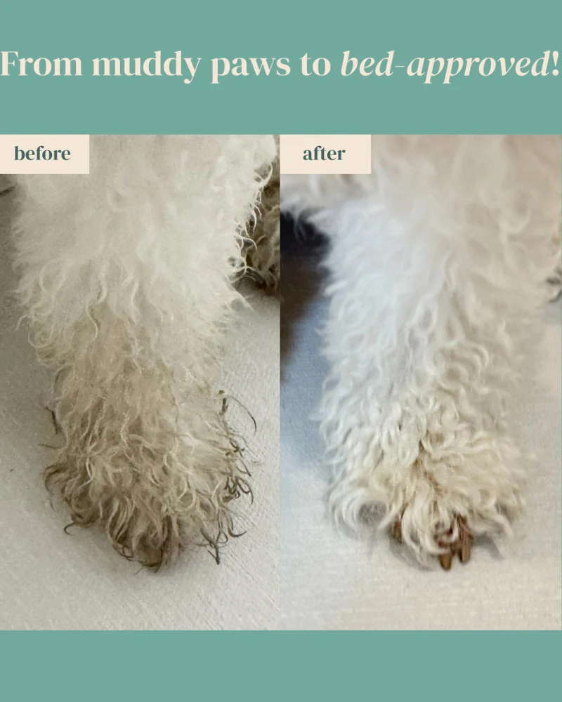 Furfection Rice Water Paw & Facial Shampoo - Image 8