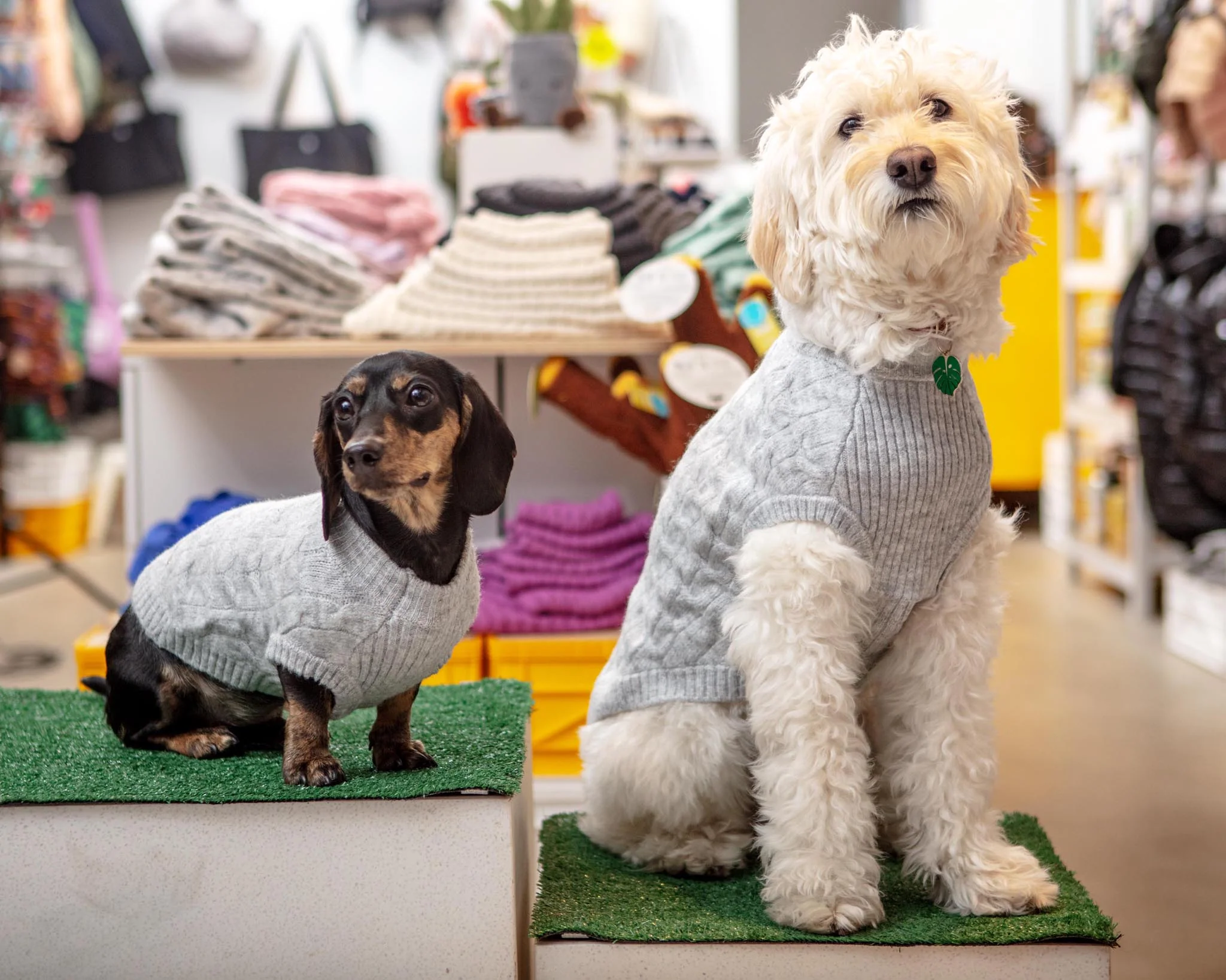 Fuzzy Knit Dog Crewneck Sweater in Heather Grey (FINAL SALE) - Image 11
