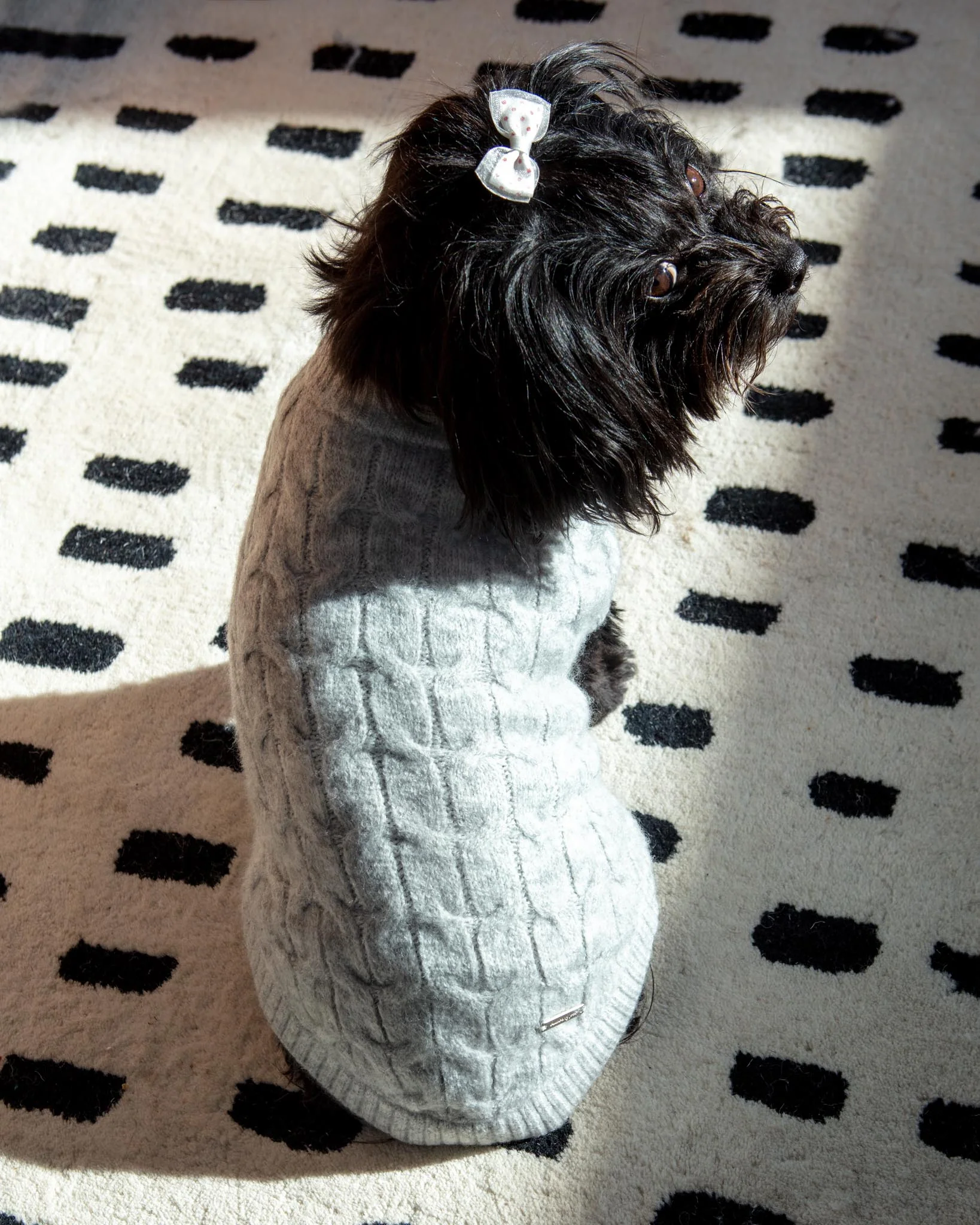 Fuzzy Knit Dog Crewneck Sweater in Heather Grey (FINAL SALE) - Image 4