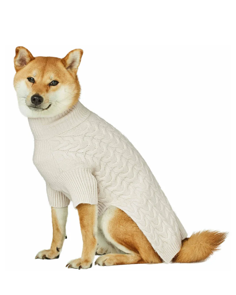 Fuzzy Knit Dog Turtleneck Sweater in Ivory (FINAL SALE) - Image 2