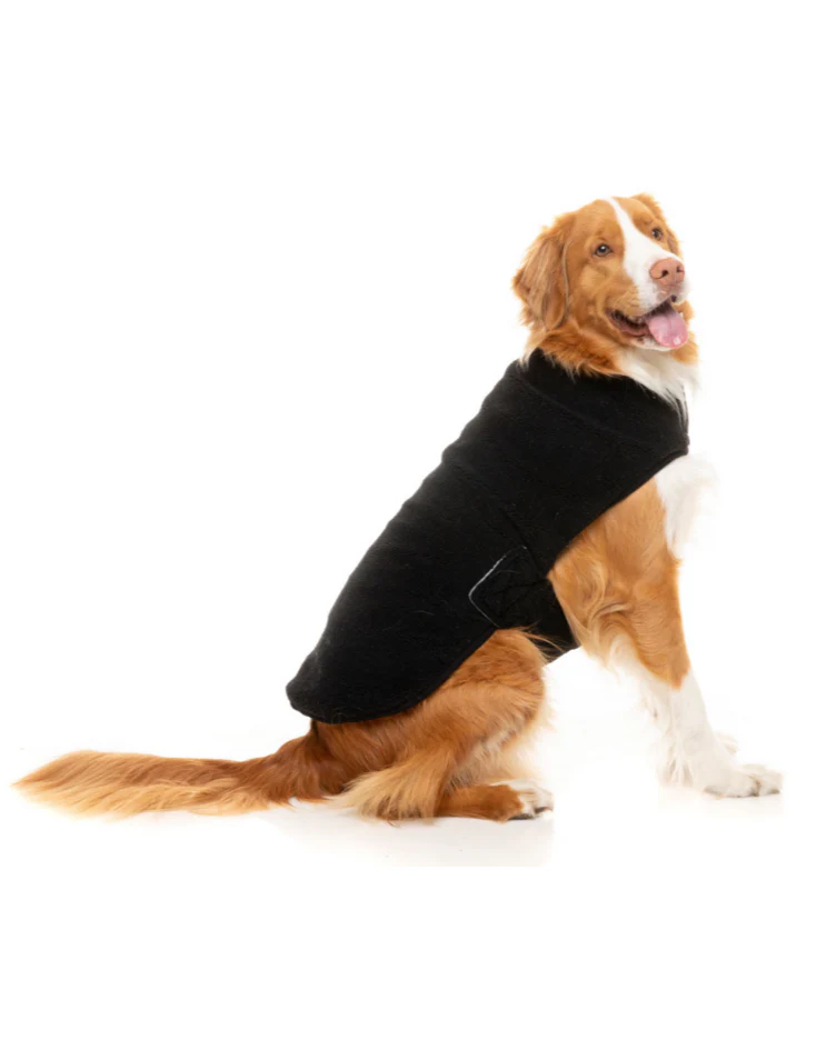 Black Teddy Wrap Dog Vest << CLEARANCE >>