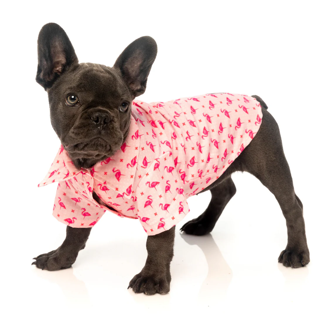 FUZZYARD | Fabboyant Hawaiian Shirt - Image 3