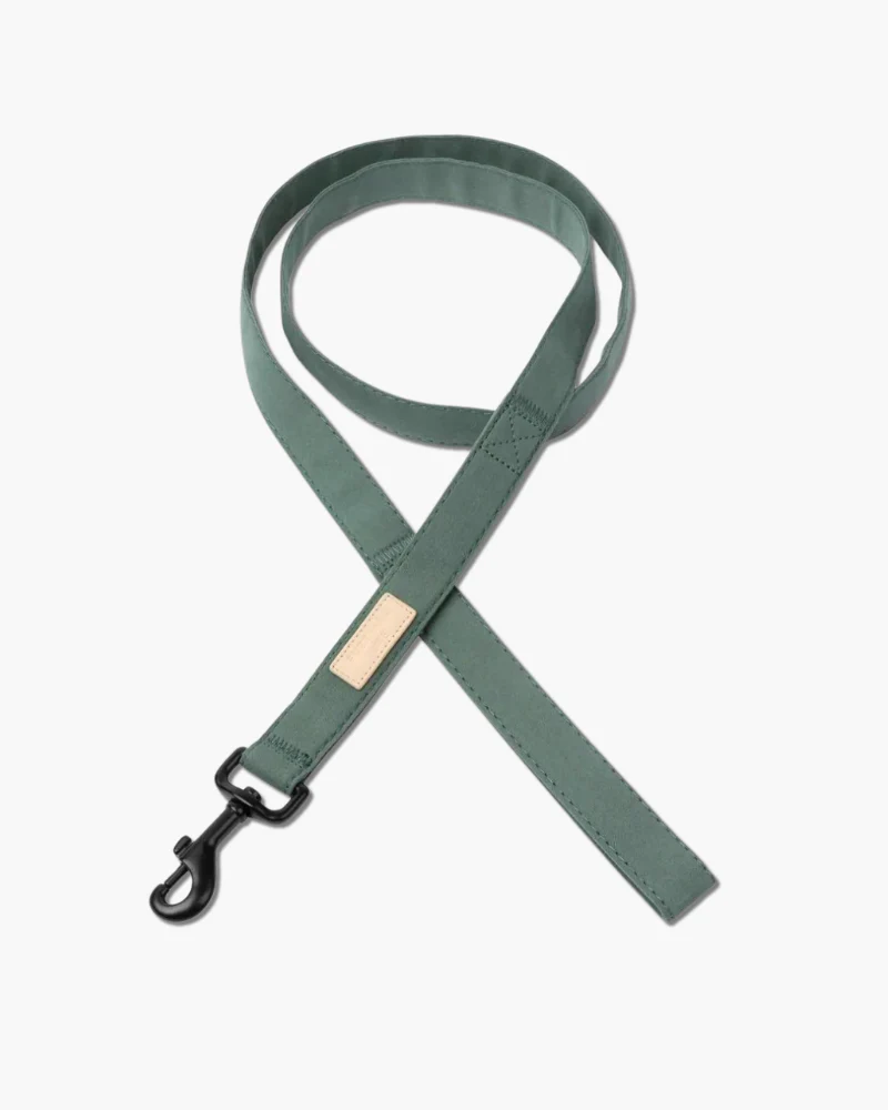 Soft Fabric Dog Leash (with Traffic Loop) in Sandstone, Myrtle Green or Soft Blush - Image 2