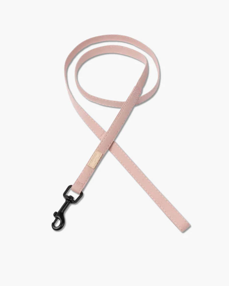 Soft Fabric Dog Leash (with Traffic Loop) in Sandstone, Myrtle Green or Soft Blush - Image 8