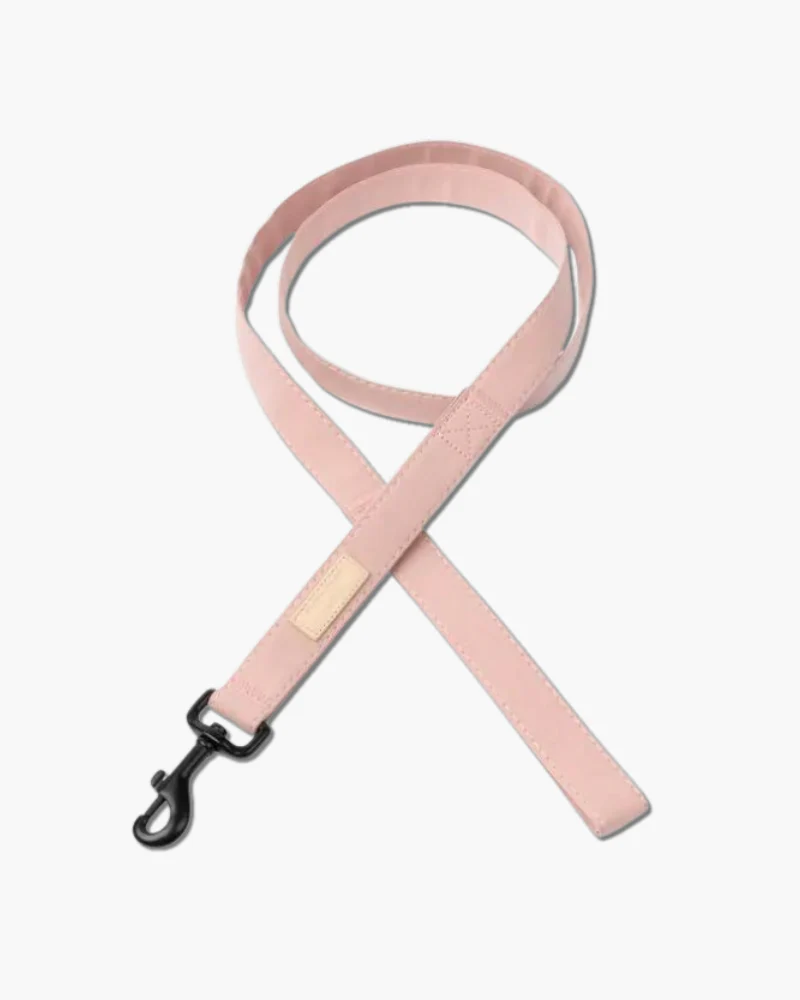 Soft Fabric Dog Leash (with Traffic Loop) in Sandstone, Myrtle Green or Soft Blush - Image 9