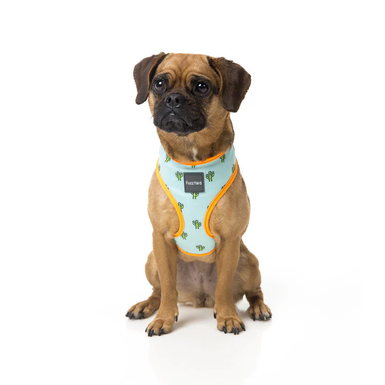 FUZZYARD | Tucson Harness - Image 5