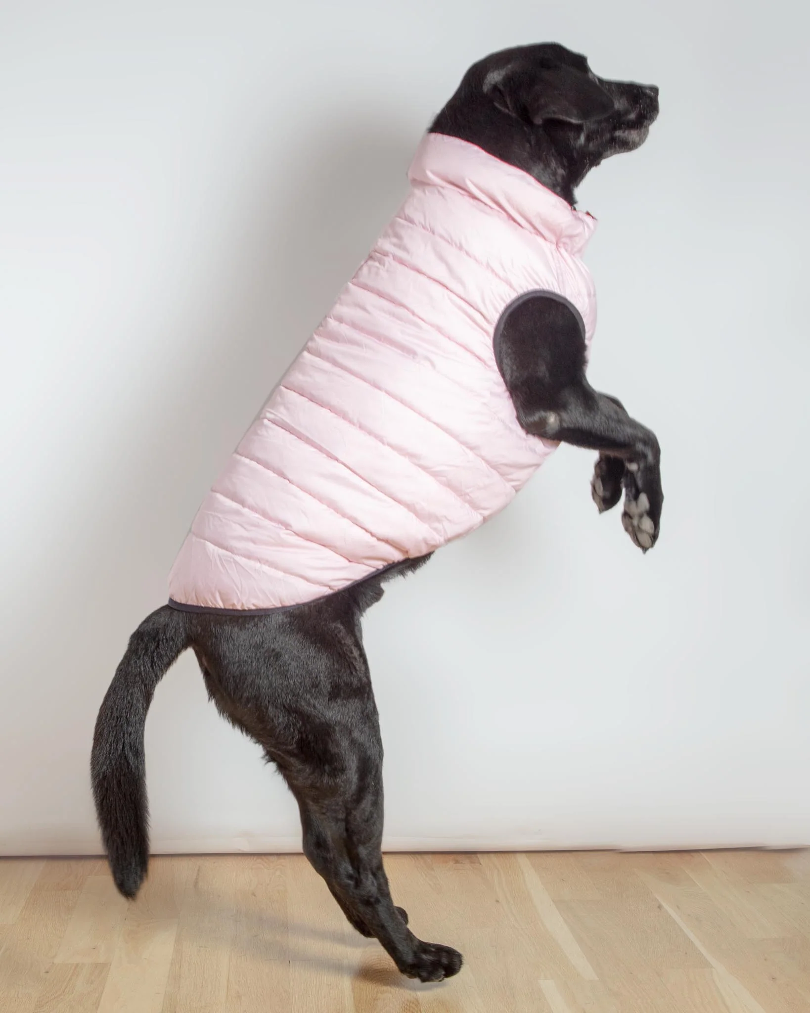 Reversible AiryVest in Strawberry + Blush (DOG & CO. Exclusive) (FINAL SALE) - Image 5